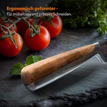 Набір ножів у блоці (6 шт) з нержавіючої сталі преміум-класу. Кухонні ножі з магнітним блоком з акації. Професійний набір кухонних ножів з нержавіючої сталі, сріблястого кольору.