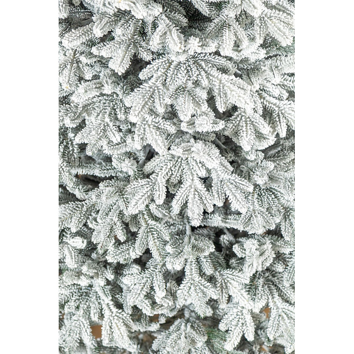 Ялинка лита 'Альпійська' ЗАСНІЖЕНА 1,80м