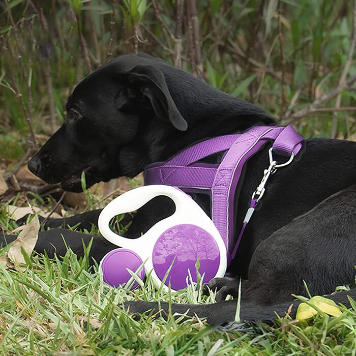 Висувний повідець для собак LFCXHTY, 3 м, міцний повідець для вигулу собак малого та середнього розміру вагою до 15 кг, гальмо однією кнопкою, стопор, замок (фіолетовий з мішком для какашок, 3 м)