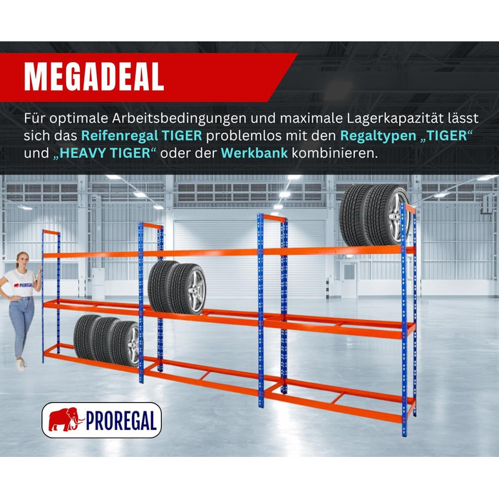 Стелаж для шин PROREGAL Tiger XL: 200x180x45 см, 300 кг навантаження, до 21 шини (205/55 R16), блакитно-помаранчевий, для майстерні, складу, підвалу