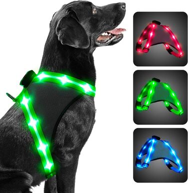 Шлейка для собак Chakit ED, світловідбиваюча, акумуляторна, що світиться (XL, зелена)