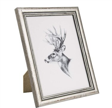 Набір рамок для фотографій WOLTU 10, скляна панель в дерев'яній рамці в стилі cm Artos, (срібло, 15x20)