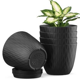 розмір: 6 дюймів