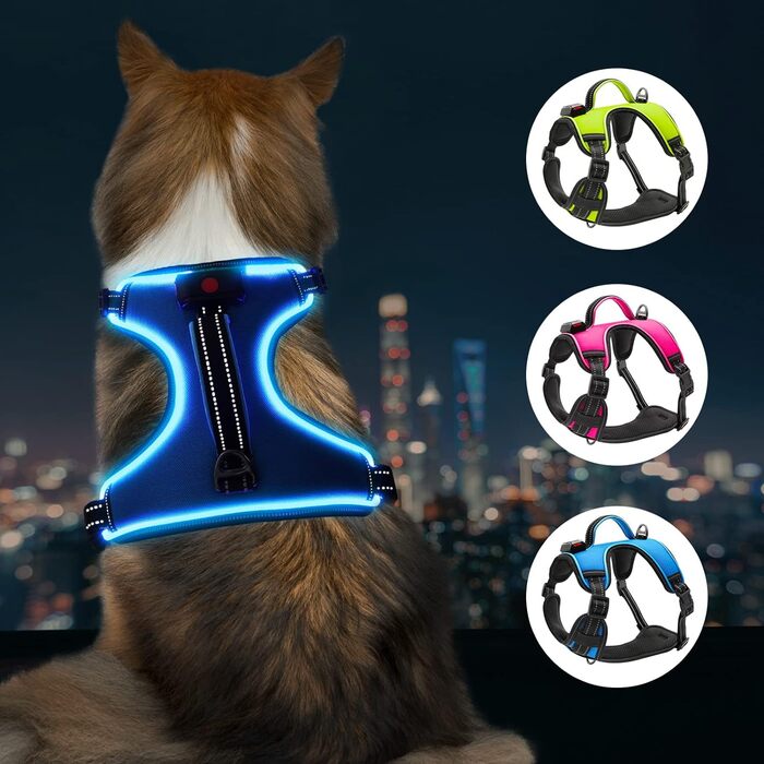 Світлодіодна шлейка для собак YFbrite, світловідбиваюча, дихаюча (Роа, маленька) (V2.0 - синя, L)