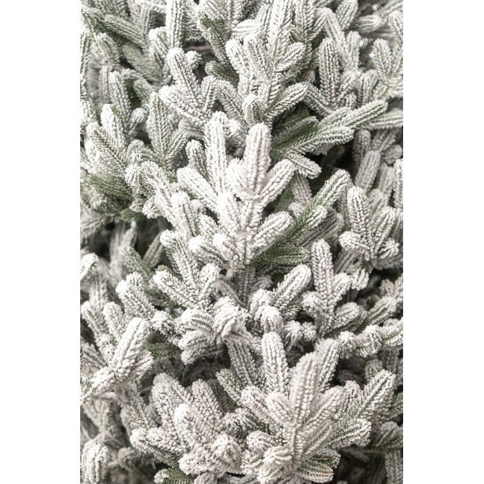 Ялинка лита 'Віденська' ЗАСНІЖЕНА 2,30м