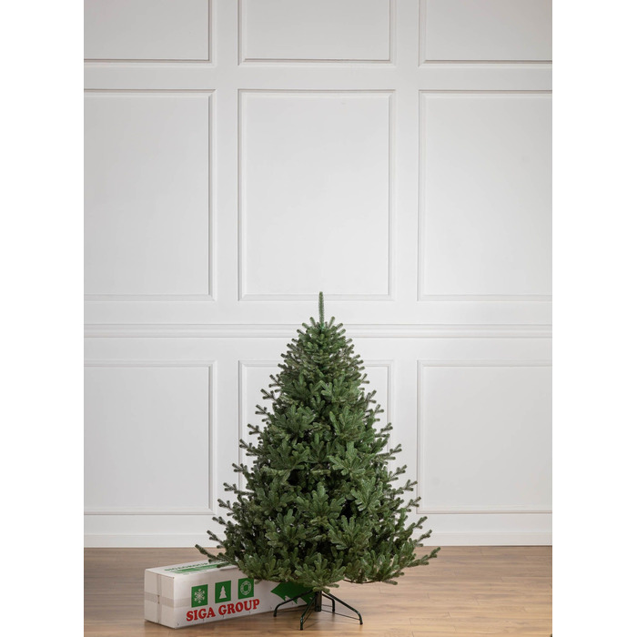 Ялинка лита 'Міланська' ПАРАСОЛЬКА ЗЕЛЕНА 1,80м