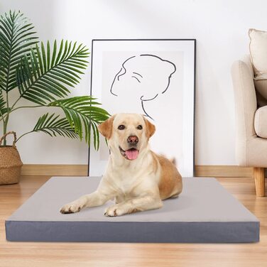 Ліжко для собак Nobleza для маленьких собак, Подушка для собак 75x50x8 см, ортопедичний килимок для собак, Матрац для собак, що миється, Розмір М, Сірий М (75x50x8 см)
