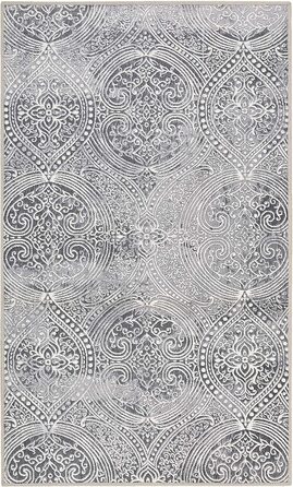 Домашній килимок для ванної, килимок для ванної, нековзний і миється, вінтажний, Louis (60 x 100 см, сірий) сірий 60 x 100 см