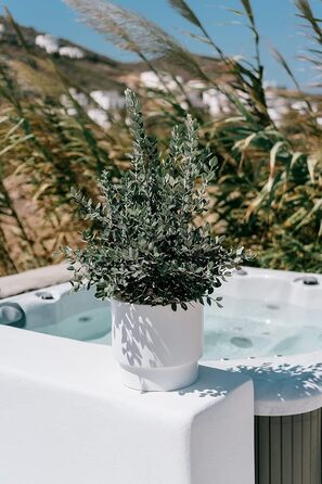 Пластиковий горщик для квітів Tymar з вкладишем, великий (Антрацит DBHER, діаметр 30 см)