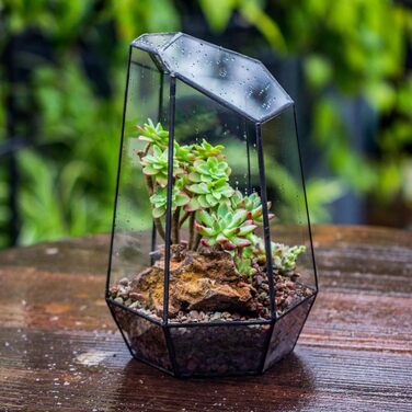 Скляне тераріум NCYP 16,5x16,5x25cm: геометричний дизайн, горщик для сукулентів та папоротей (без рослин)