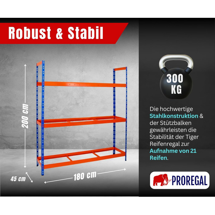 Стелаж для шин PROREGAL Tiger XL: 200x180x45 см, 300 кг навантаження, до 21 шини (205/55 R16), блакитно-помаранчевий, для майстерні, складу, підвалу