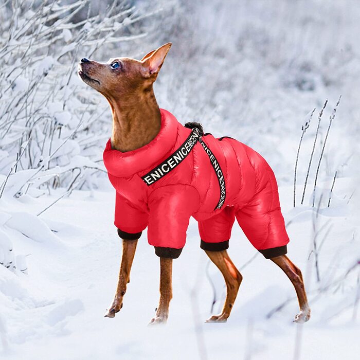 Зимове пальто Didog для маленьких собак, водонепроникні куртки з ременями безпеки і D-подібними кільцями, тепла блискавка, в холодну погоду, для цуценят і кішок ,для прогулянок (груди 35 см довжина спини 28 см, червоний)