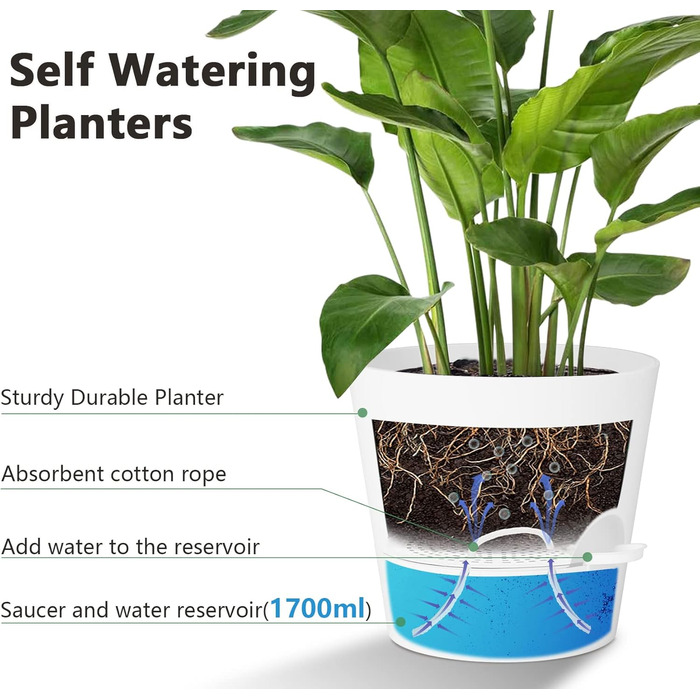 Набір з 2 горщиків для квітів 25.4 см, пластик, з системою поливу, для дому, балкону, саду, сукулентів, кактусів (зелений, білий)