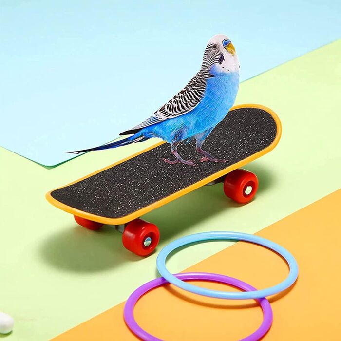 Набір іграшок для птахів WishesMar Папуга Мар