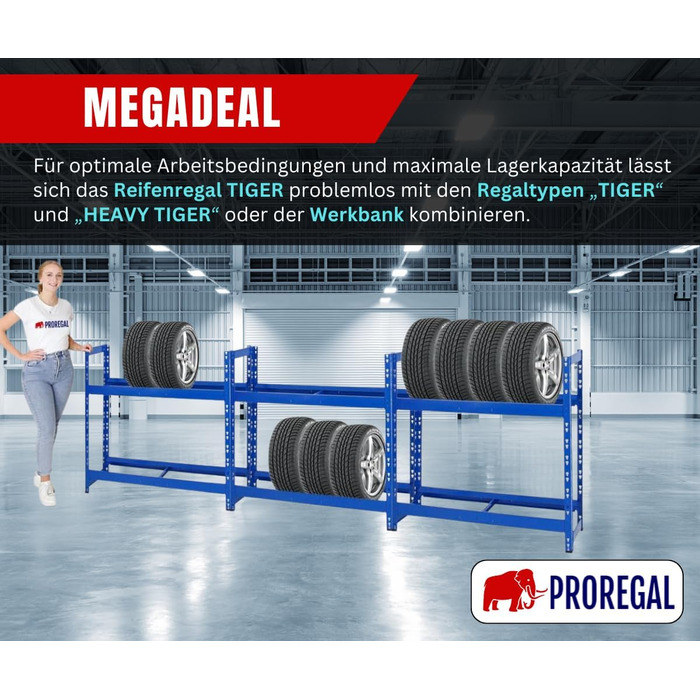 Стелаж для шин PROREGAL Tiger: 100x110x35 см, 150 кг навантаження, 8 шин, 2 рівні, блакитний