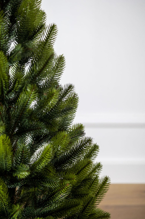 Ялинка лита 'Лапландська' в горщику ВЕСНЯНА 0,90м