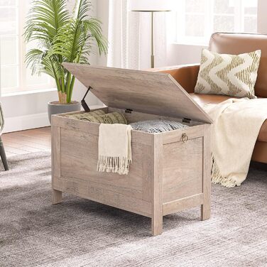 HOOBRO Лавка з ящиком для зберігання, іграшкова скриня з кришкою, тумба для взуття, лавка для сидіння, скриня для зберігання, міцна, безпечні петлі, спальня, вітальня, 76 см, білий EWT75CW01G1, білий (76 x 40 x 48 см, Greige)