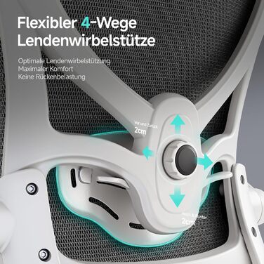 Офісне крісло LarkLeaves з ергономічною спинкою, регульованими підлокітниками, підставкою для попереку та підголівником. Максимальне навантаження 140 кг, сірий колір.