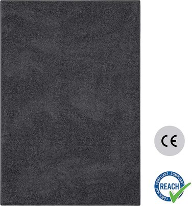 Килим для дому Carpet Studio 115x170 см чорний
