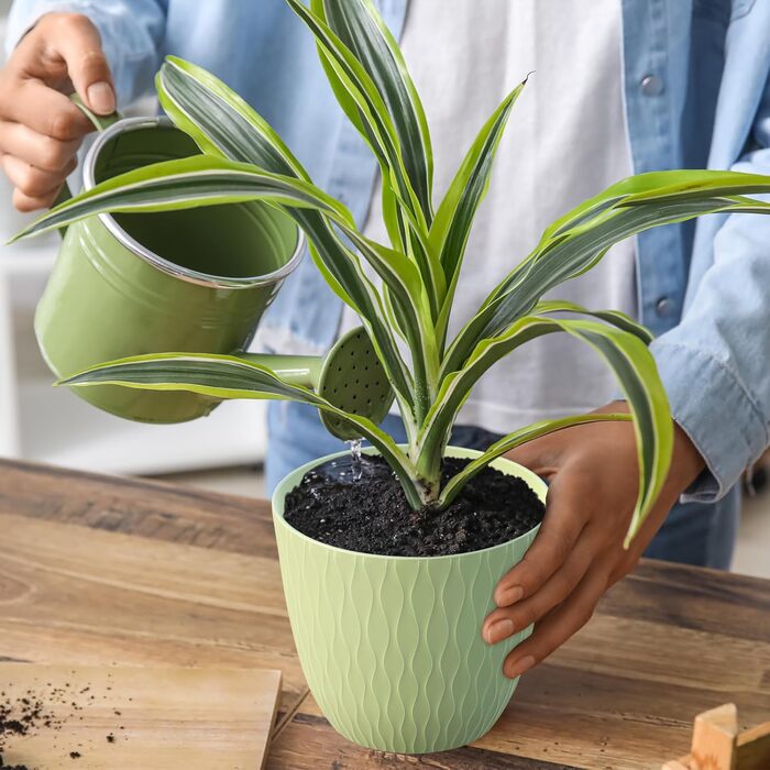 Набір горщиків для квітів з системою поливу (3 шт.) 20.3/17.8/15.2 см, зелений, для дому та балкону