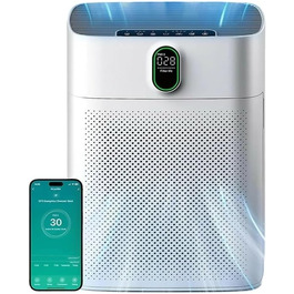 Розумний очищувач повітря Oryzom Smart Luftreiniger V1 Pro з HEPA-фільтром та датчиком PM2.5, керування через додаток та голосовий помічник (білий)