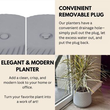 Квітчар Fox & Fern Großer: великий горщик для квітів з бетону 30,5 см з 3D-текстурою та дренажем