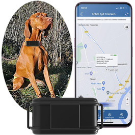 Трекер для собак зі звуковою/світловою сигналізацією, статистикою, крокоміром, двостороннім зв'язком, водонепроникний, захист від втрати, без підписки - TK919Pro, 4G GPS