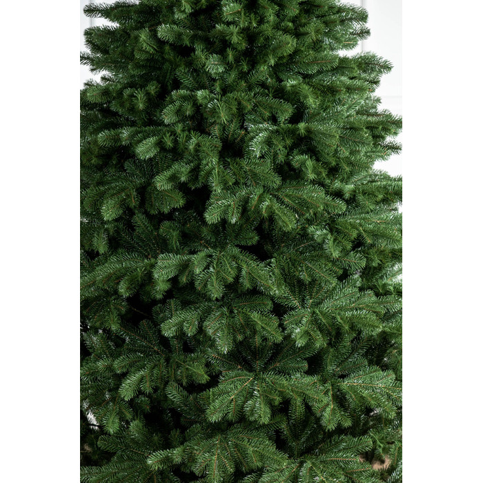 Ялинка лита 'Версальська' Зелена 2,50м
