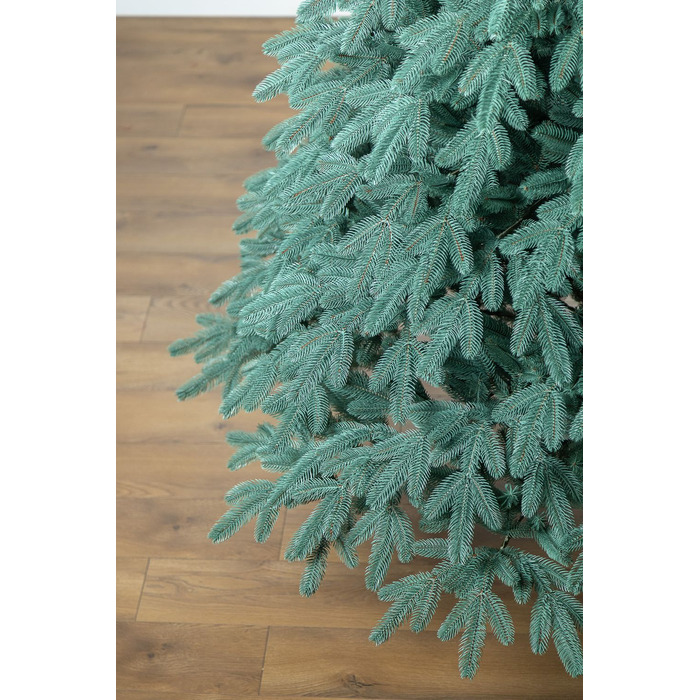 Ялинка лита 'Лапландська' ПАРАСОЛЬКА БЛАКИТНА 3,00м