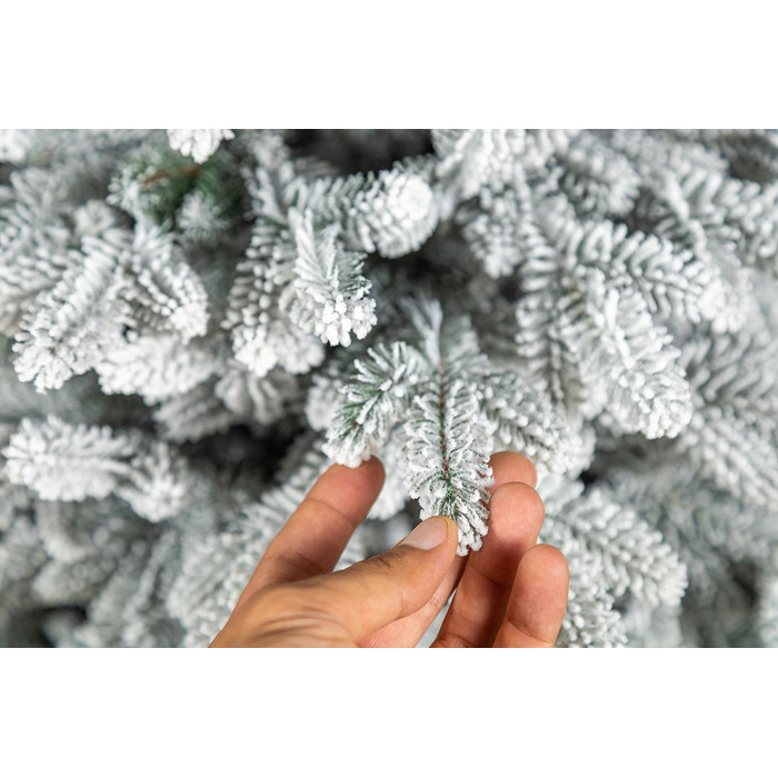 Ялинка лита 'Альпійська' ЗАСНІЖЕНА 2,50м