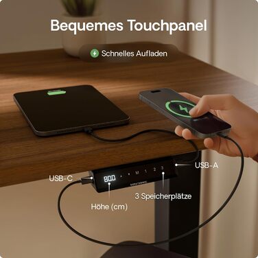 Електричний стіл Desktronic HomePro 160x80 см з регулюванням висоти, подвійний тихий мотор, сенсорне управління, підвищена вантажопідйомність, для дому та офісу
