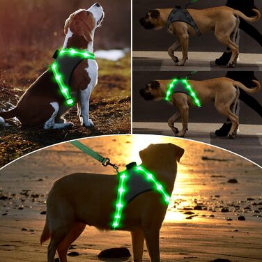 Шлейка для собак Chakit ED, світловідбиваюча шлейка для нічних прогулянок (M, зелена)