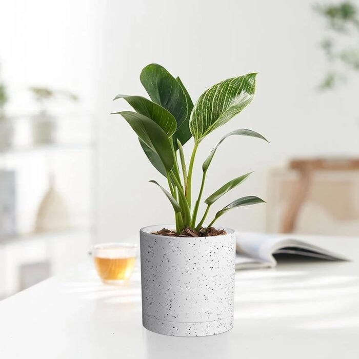 5 шт. Набір горщиків для квітів з підставкою, 17.8/15.2/14/12.7/10.2 см, пластикові горщики для рослин, гідропоніка, набір горщиків для квітів, ідеально підходить для внутрішніх та балконних садів, зелений з коричневим піддоном (7+6+5.5+5+4 дюйми (5 шт), білий спрей)