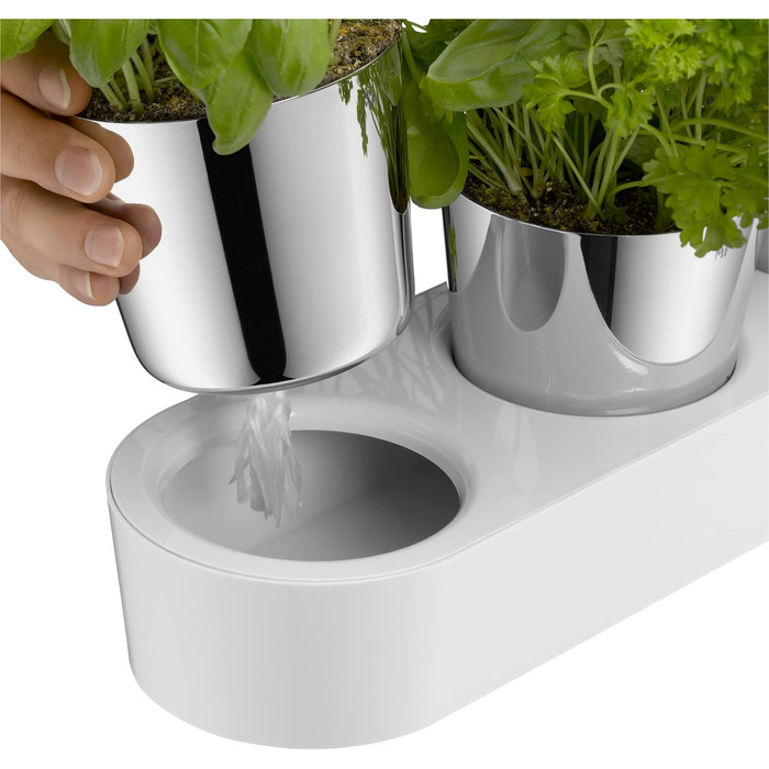 Набір горщиків для трав WMF Gourmet з системою поливу, 3 шт., для кухні, 36x12,5x12,5 см, білий, для свіжих трав