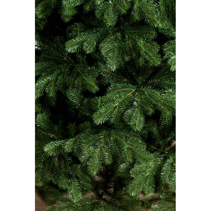 Ялинка лита 'Версальська' ПАРАСОЛЬКА ЗЕЛЕНА 3,00м