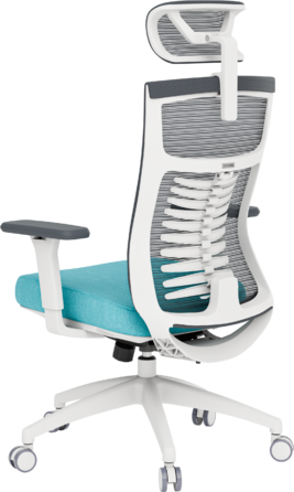 Крісло офісне OfficePro Balance OC550-W-DG-BL