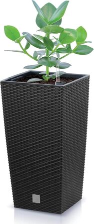 Пластиковий горщик Prosperplast з ротангу, 26.5 x 26.5 x 50 см, антрацит, для дому та саду