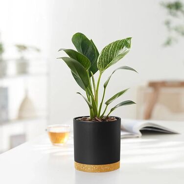 Набір горщиків для квітів 5 шт. з підставками, 17.8/15.2/14/12.7/10.2 см, пластик, для дому та балкону, чорний з коричневою підставкою