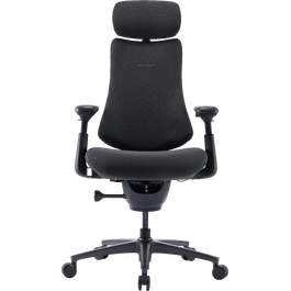 Крісло офісне ергономічне LiberNovo Omni Pro Graphite 48 см