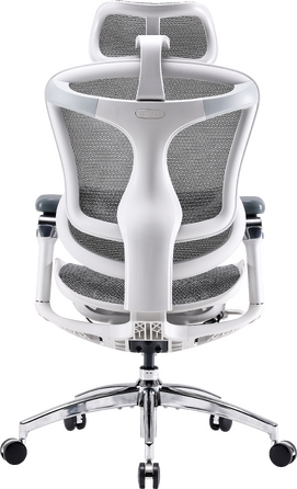 Крісло офісне Sihoo DORO C300 Pro Mesh White