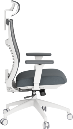 Крісло офісне OfficePro Balance OC550-W-DG-DG