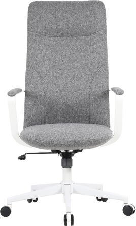 Крісло офісне OfficePro Shift OC545DG Dark Gray