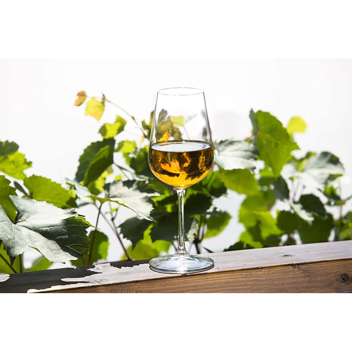 Бокали для білого вина KADAX з кришталевого скла, 6 шт, 360 мл, довга ніжка, елегантні та прості келихи для дому та вечірок, висока якість