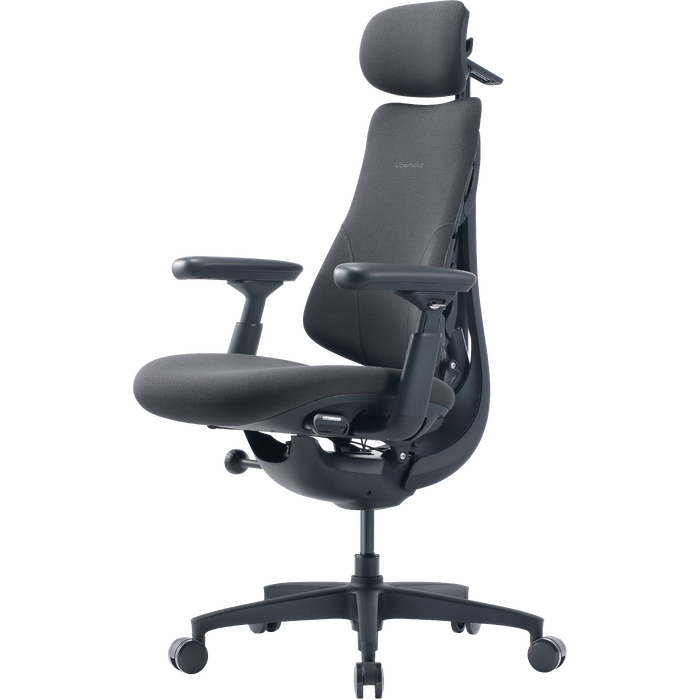 Крісло офісне ергономічне LiberNovo Omni Gen Graphite 48 см