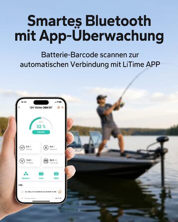 LiFePO4 акумулятор LiTime 12V 100Ah з Bluetooth для кемпінгу, житлових будинків та електромоторів човнів