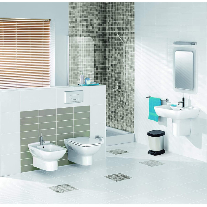 Смітник Rotho Paso 6 л для ванної з кришкою, пластик, BPA-free, carbonmetallic