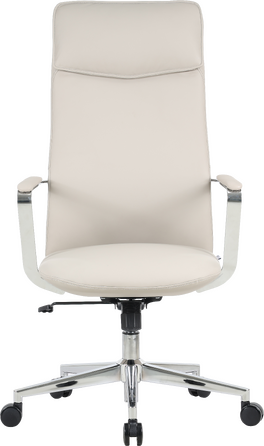 Крісло офісне OfficePro Shift OC533G Gray