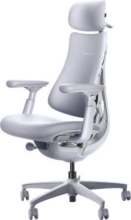 Крісло офісне ергономічне LiberNovo Omni Space Gray 48 см