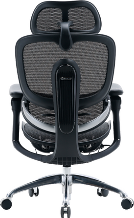 Крісло офісне Sihoo C300 PRO V2 Black