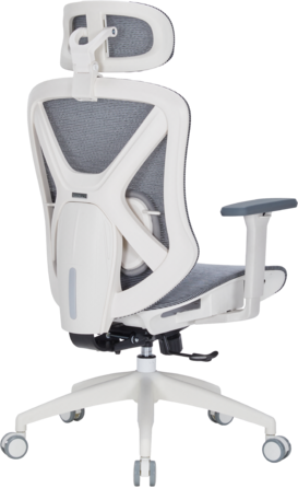 Крісло офісне Officepro Atlas OC630-W-DG-DG